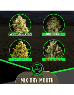 Mix Dry Mouth Line Automáticas - Delirium Seeds