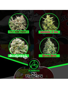 Mix Production Feminizado - Delirium Seeds