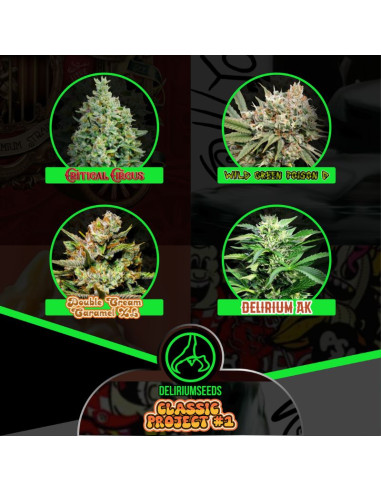 Mix Classic Project 1 Feminizado - Delirium Seeds