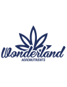 Wonderland