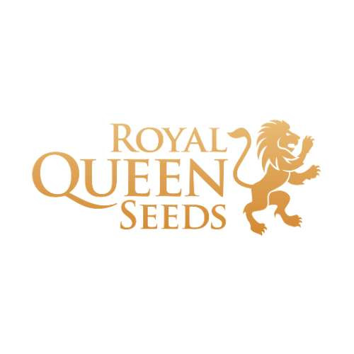 Royal Queen Seeds